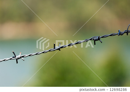 Steel barbed wire 12698286