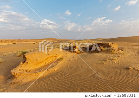 Dunes of Thar Desert, Rajasthan, India 12698331