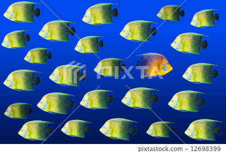 Going different way Going different way 12698399