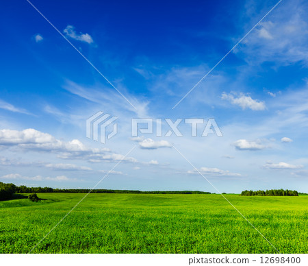 Spring summer green field scenery lanscape 12698400
