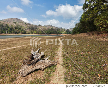Periyar wildlife sanctuary, India Periyar wildlife sanctuary, India 12698424