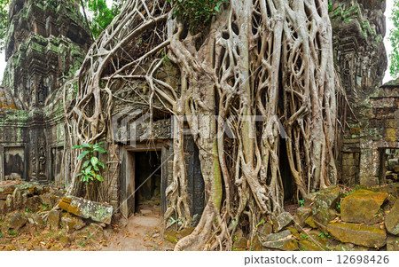 Ancient stone door and tree roots, Ta Prohm temple, Angkor, Camb Ancient stone door and tree roots, Ta Prohm temple, Angkor, Camb 12698426