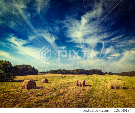 Hay bales on field 12698484