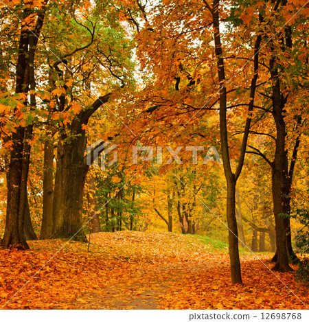 Autumn valley Autumn valley 12698768