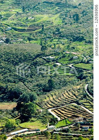 Terraced fields Terraced fields 12698906