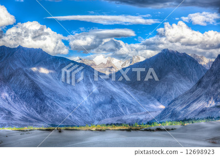 Sand dunes. Nubra valley, Ladakh, India 12698923