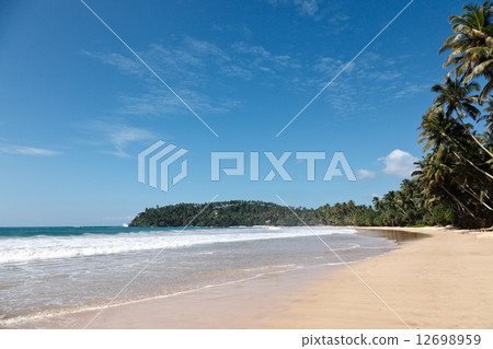 Idyllic beach. Sri Lanka Idyllic beach. Sri Lanka 12698959