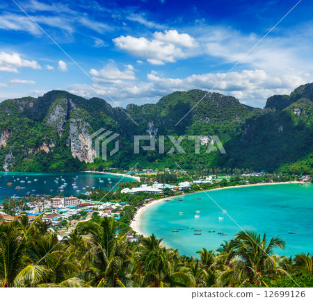 Green tropical island 12699126