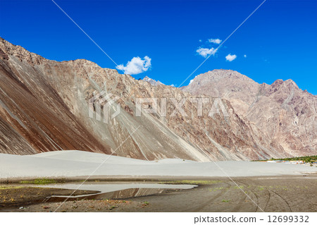 Sand dunes. Nubra valley, Ladakh, India Sand dunes. Nubra valley, Ladakh, India 12699332