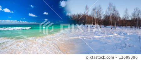 Summer transforming to winter Summer transforming to winter 12699396