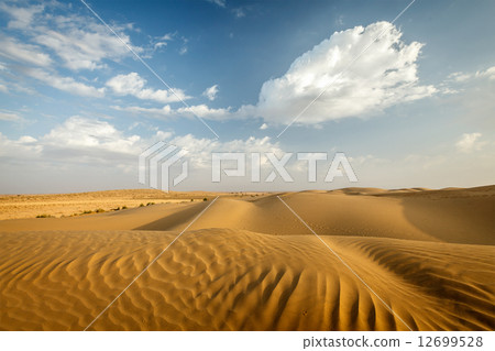 Dunes of Thar Desert, Rajasthan, India 12699528
