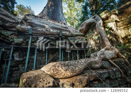 Ancient ruins and tree roots, Ta Prohm temple, Angkor, Cambodia Ancient ruins and tree roots, Ta Prohm temple, Angkor, Cambodia 12699552