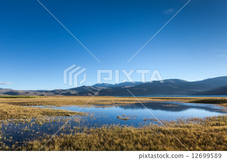 Tso Moriri lake in Himalayas, Ladakh, India 12699589