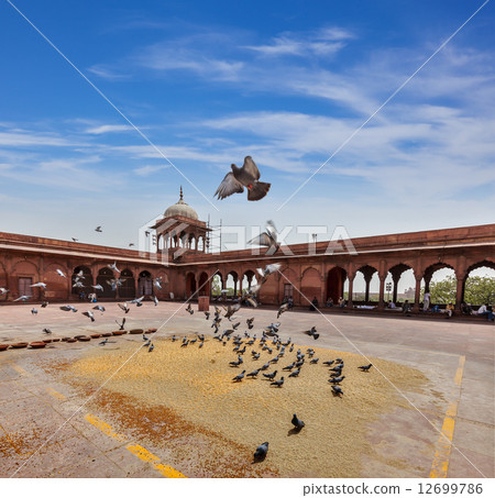 Pigeons in Jama Masjid mosque Pigeons in Jama Masjid mosque 12699786