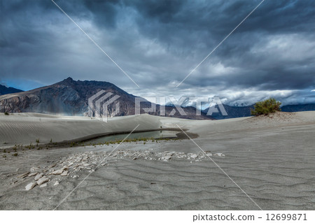 Sand dunes in Himalayas. Hunder, Nubra valley, Ladakh Sand dunes in Himalayas. Hunder, Nubra valley, Ladakh 12699871