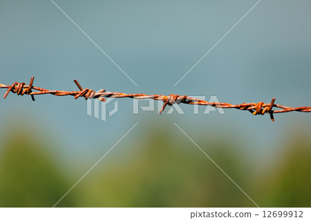 Steel barbed wire 12699912