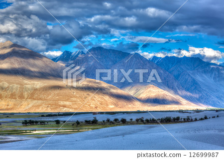 Sand dunes. Nubra valley, Ladakh, India Sand dunes. Nubra valley, Ladakh, India 12699987