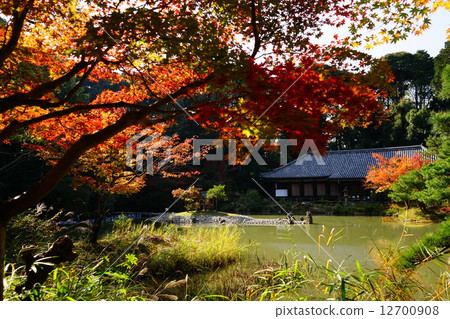Gakurakuzo / Joruri Temple 12700908