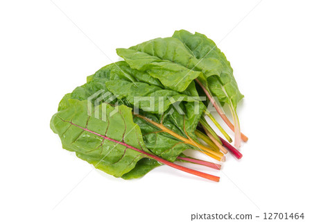 瑞士甜菜 瑞士甜菜 12701464