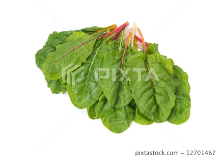 Swiss Chard 12701467