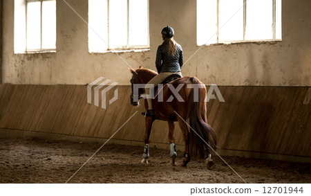 woman doing horseback riding in manege 12701944