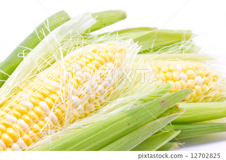 Close up of sweetcorn. 12702825
