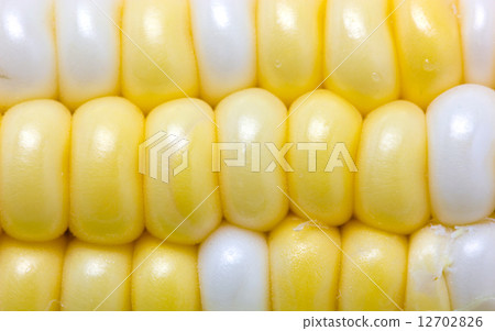 Close up of sweetcorn. 12702826