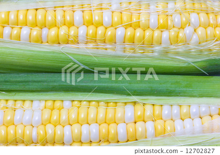 Close up of sweetcorn. 12702827