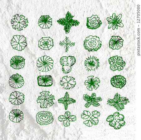 Trees top view for architecture landscape design projects  on wa 12705080