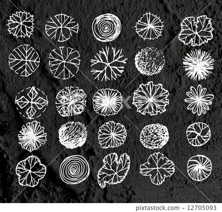 Trees top view for architecture landscape design projects  on wa 12705093