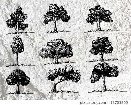 trees with leaves  in silhouettes  on wall texture background d 12705209
