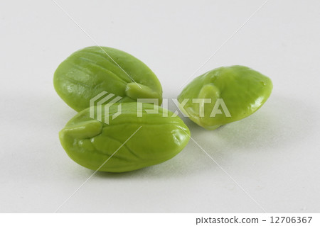 Petai Stink Bean 12706367