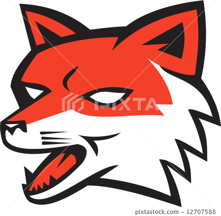 Red Fox Head Growling Retro 12707588