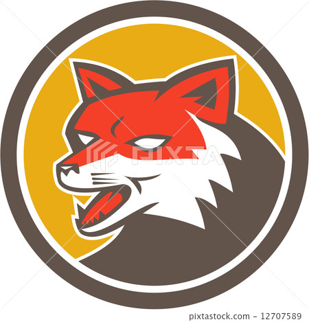 Red Fox Head Growling Circle Retro 12707589