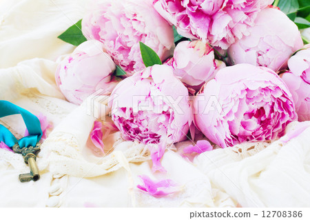 pink peony flowers with key 12708386