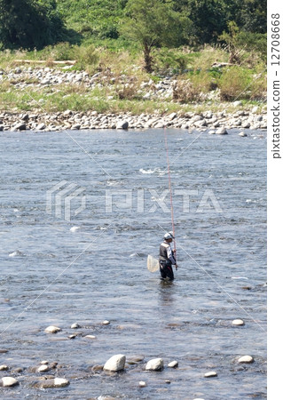 Yuyu fishing scenery Yuyu fishing scenery 12708668