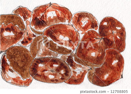 Chestnut Chestnut 12708805