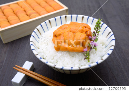Udon Udon 12709393