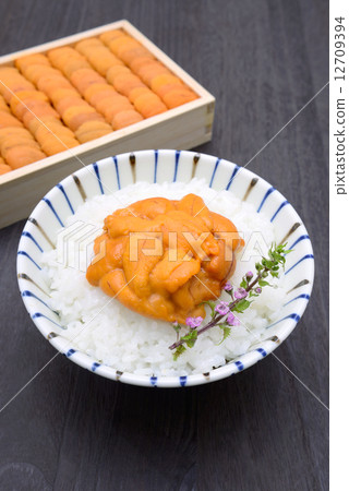 Udon Udon 12709394