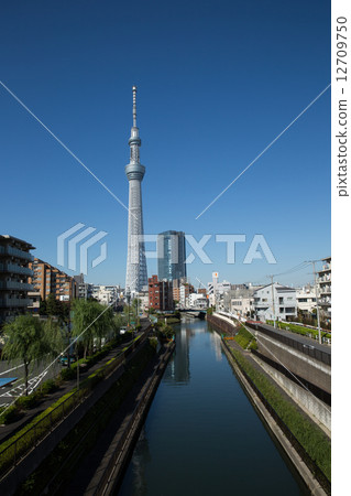 北河和東京天空樹 北河和東京天空樹 12709750