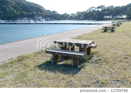 Beach scenery 12709766