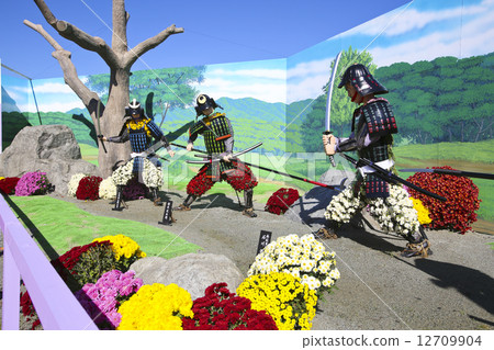 Nanyang City Chrysanthemum Festival 12709904