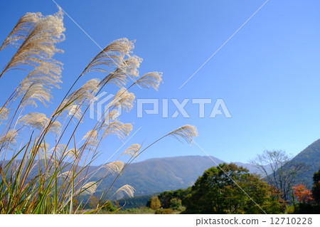 Kijimadaira Yamabiko Hill Park (Suzuki) Kijimadaira Yamabiko Hill Park (Suzuki) 12710228