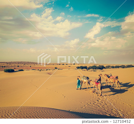 Two cameleers (camel drivers) with camels in dunes of Thar deser 12710452