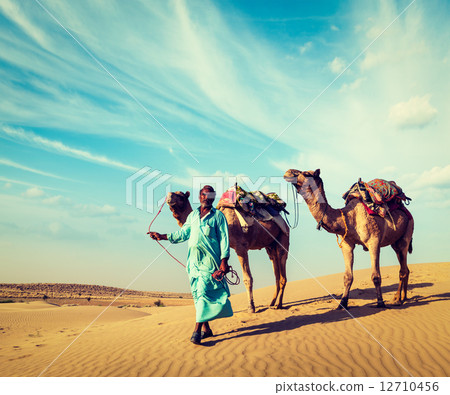 Cameleer with camels in dunes of Thar desert. Raj 12710456