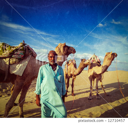 Cameleer (camel driver) with camels in dunes of Thar desert. Raj 12710457