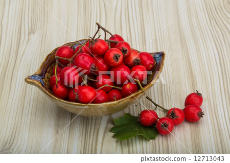 Hawthorn 12713043