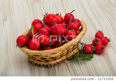 Hawthorn 12713268