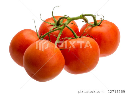 Tomatoes on the branch Tomatoes on the branch 12713269