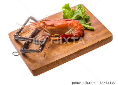 Giant Freshwater Prawn 12713459